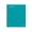 Teal, variant on Staples Premium Poly 1-Subject Notebook 8" x 10.5" Wide Ruled 100 Sheets Green (TR51452)