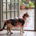 thumbnail image 5 of Neoargh Clear Waterproof Raincoat, Light‑Weight Rain Protection Jacket for Multi‑Size Pets Outdoor Walk, 5 of 6
