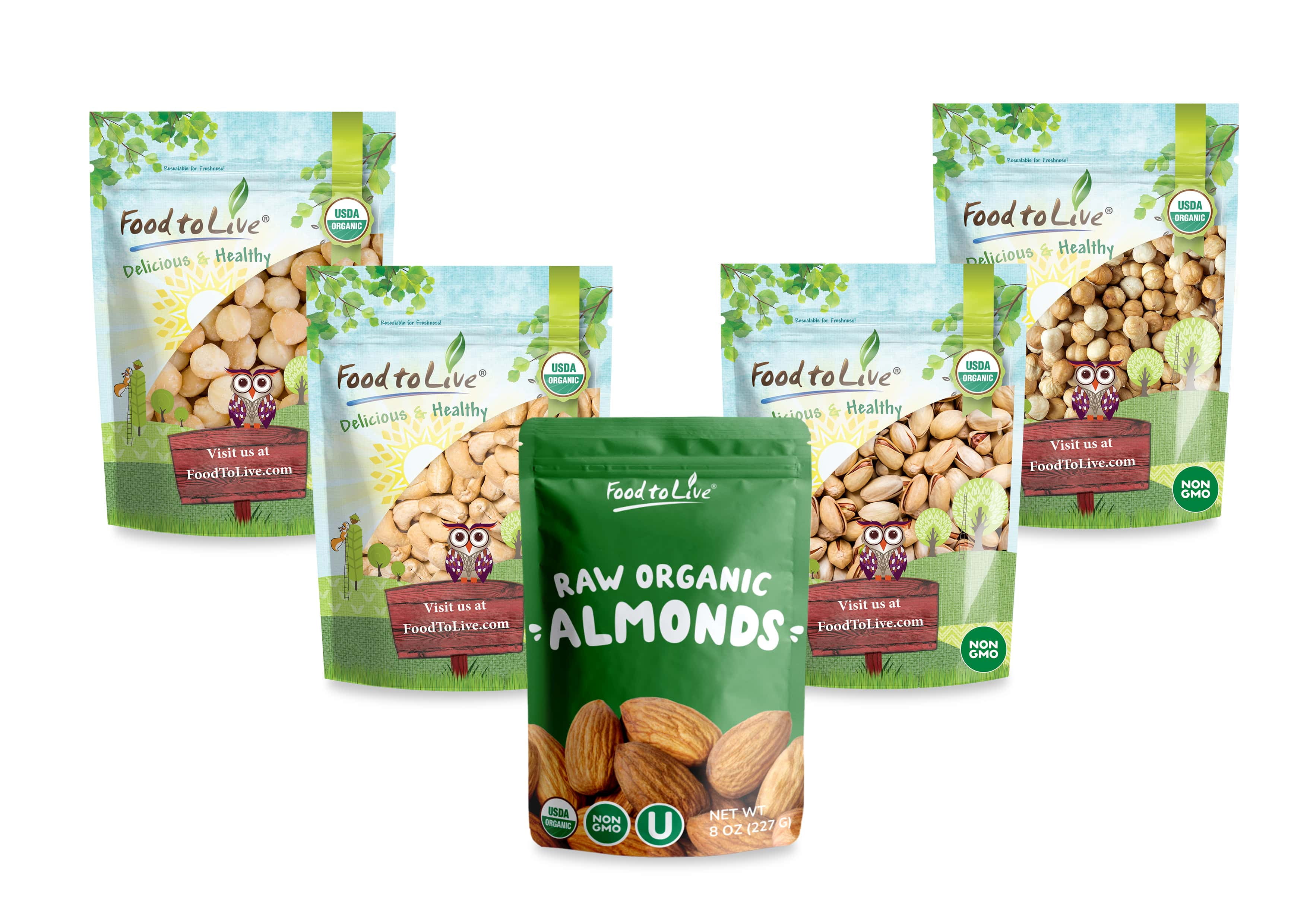 Organic Brooklyn Nuts Gift Box - Make your day with our Roasted Blanched Hazelnuts, Roasted and Salted Pistachios , Raw Cashews, Almonds, and Macadamia Nuts