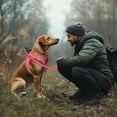 thumbnail image 7 of Filbert Dog Harness and Leash Set,  3/4 inch X 4.6ft Strong and Durable Leash, Step-in Reflective Harness Small Sized Dogs, Mesh Vest, High Reflectivity, Breathable Fabric, Heavy Duty Velcro, 7 of 7