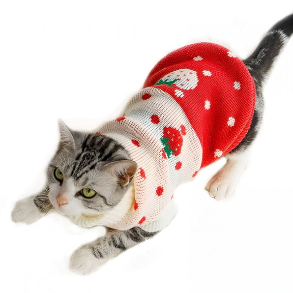 GASTROPOD Pet Clothes, Cat Sweater Winter Warm Puppy Clothes Strawberry Knitwear Turtleneck Dog Sweaters for Cats Puppy
