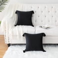 thumbnail image 1 of 2 Pcs Velvet Throw Pillow Cover with Tassel, Square Throw Pillow Case Cushion Cover, 1 of 8