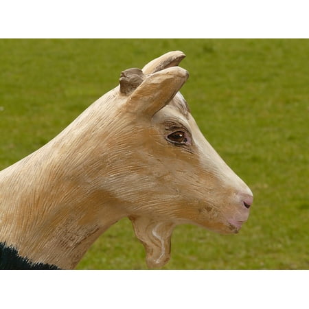 Baby Goat Leather - LAMINATED POSTER Goat Geiss Animal Carving Wood Chamois Baby Goat Poster Print 24 x 36