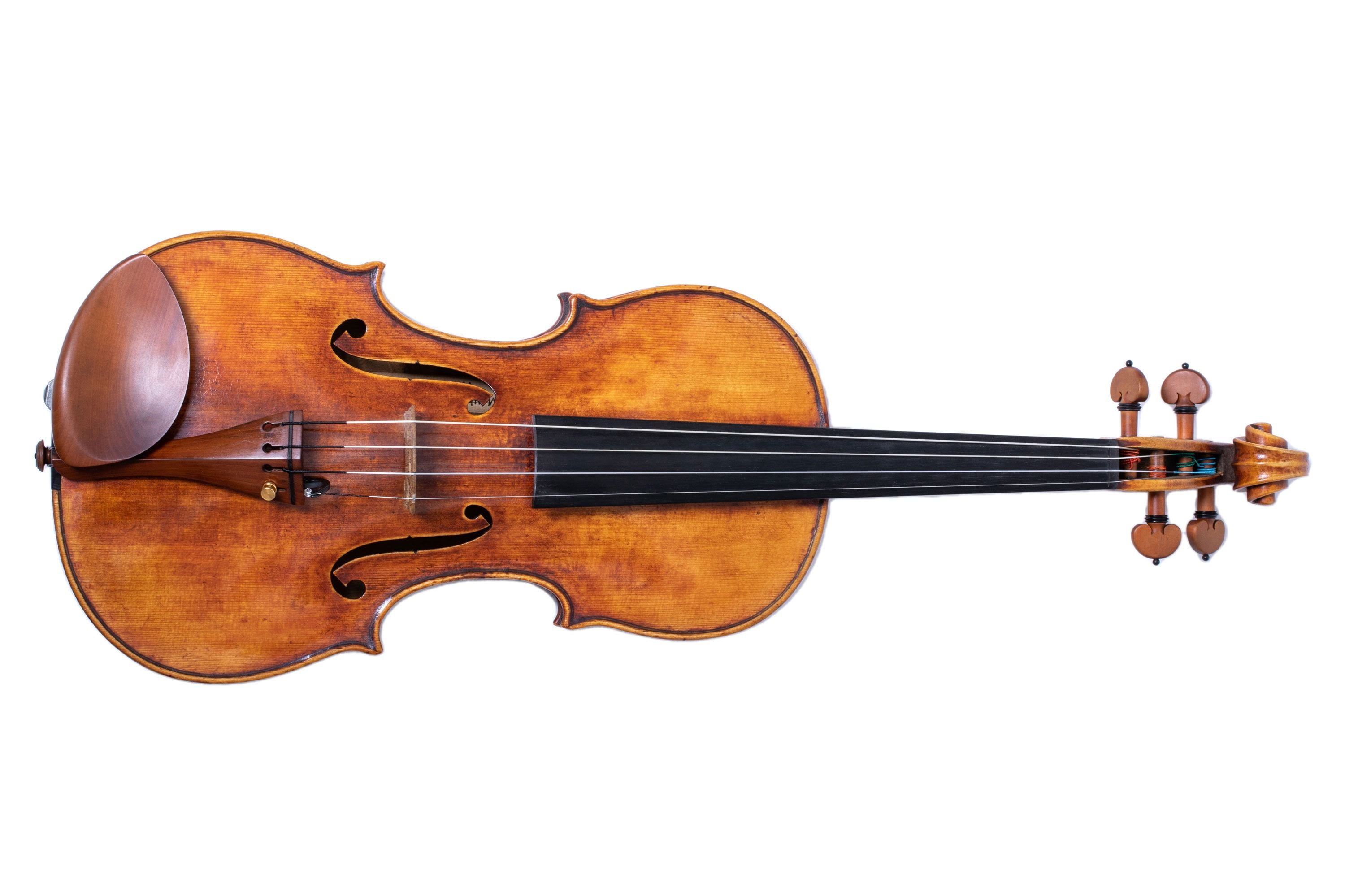 Thomastik Dynamo Series Violin String Set 4/4 Size, Medium