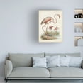 thumbnail image 3 of Unknown 'Antique Waterbirds IV' Canvas Art, 3 of 3