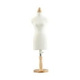 thumbnail image 1 of Mini Dress Form Adjustable Body Female Small Dress Display Torso Tailor Form 46cm, 1 of 8