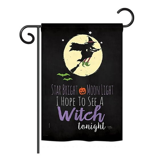 Breeze Decor BD-HO-G-112073-IP-BO-DS02-US 13 x 18.5 in. Seasonal Halloween Impressions Decorative Vertical Garden Flag - Star Bright Fall