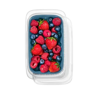 OXO Prep & Go Leakproof Fruit Storage Container