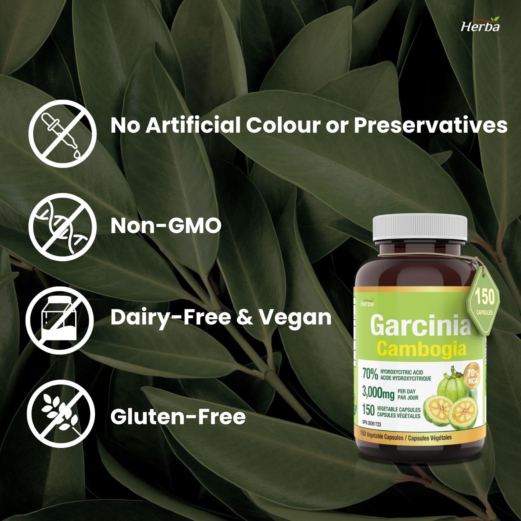 Herba Garcinia Cambogia Extract 750mg – 150 Vegetable Capsules