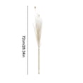 thumbnail image 3 of RYDCOT 1Pcs Colorful Faux Pampas Grass, Fluffy Artificial Bulrush Branches Boho Decor, Filler Tall Pampas Grass Reed Fluffy Stems for Living Room Wedding Decoration, 3 of 6
