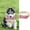 Pink, variant on Reflective Instagram Wind Leather Check Pet Collar for Cats and Small Dogs with Glowing Light Ring