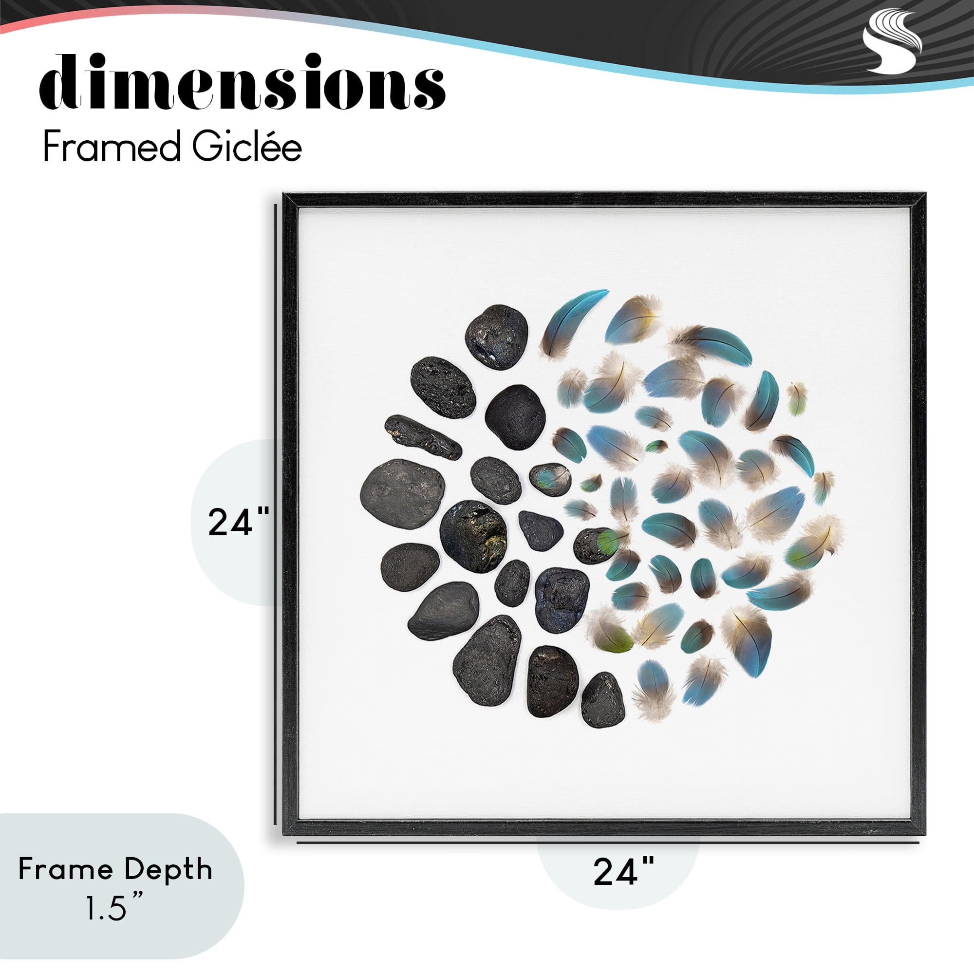Stupell Industries Feathers & Rocks Collection Black Framed Giclee Art, design by Beth Adoette