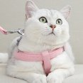 thumbnail image 4 of Harnais et Laisse pour Chat, Collier Réglable avec Laisse pour Chat, 4 of 10
