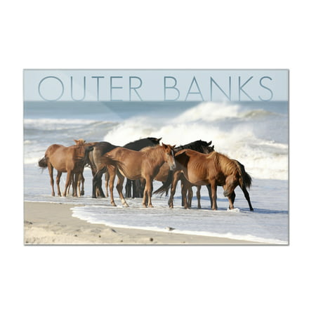 Outer Banks, North Carolina - Horses on Beach - Lantern Press Photography (12x8 Acrylic Wall (Best Beaches In North Carolina)
