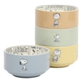thumbnail image 1 of Set de 4 bowls Peanuts Snoopy de cerámica stoneware de 14 cm, 1 of 9