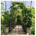 thumbnail image 2 of Metal Garden Arch with Gate 79.5''x86.6'', Rose Arch Trellis for Climbing Plants Outdoor - Black, Heavy Duty Steel Arbor with Planter Boxes, 2 of 9