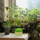 thumbnail image 4 of Nestingho Maceta Hidropónica Para Planta De Para Caja De Plástico, 4 of 8