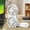 A291 accessories clearance under 5$, variant on under $5 Usloyux Desk Fan Lamp USB Rechargeable Battery Operated Cute Design Speed Adjustable Cooling Ultra Quiet Table Fan Mini Lightweight Powerful Airflow Fans for Travel