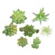 thumbnail image 1 of Simulación de traje carnoso, simulación de cabeza de flor, simulación de ramo, simulación de planta, decoraciones para el hogar, 1 of 6
