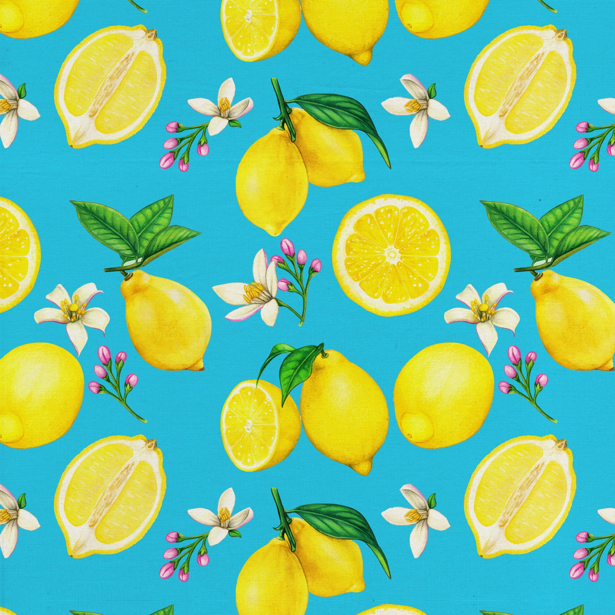 (2 pack) Half-Yard 100% Cotton Lemon Toss, Teal, Yellow, 44" Wide for Quilting & Sewing by David Textiles
