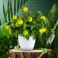 thumbnail image 6 of Sunjoy Tech Artificial Lemon Green Plant Bonsai Fake Lemon Fruit Plant Potted Ornament for Garden Home Decoration, 6 of 7