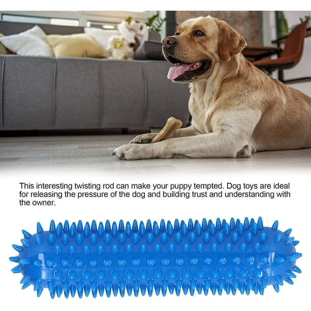 Dog chewing brush sale