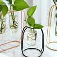 thumbnail image 3 of Yesbay Nordic Metal Stand Test Tube Vase Plant Flower Pot Hydroponic Planter Home Decor, 3 of 7