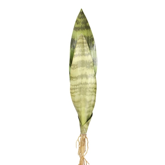 Naiovety Planta de aplicación amplia no tóxica para el hogar, jardín, balcón, hipoalergénica para mascotas, apariencia realista, cama, Decoración 3 hojas 40 CM C 40 CM C