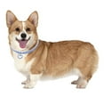 thumbnail image 4 of Skksst Diamond Pet Collar Puppy Dog Bling Full Rhinestone Heart Pendant Necklace S/M/L, 4 of 5