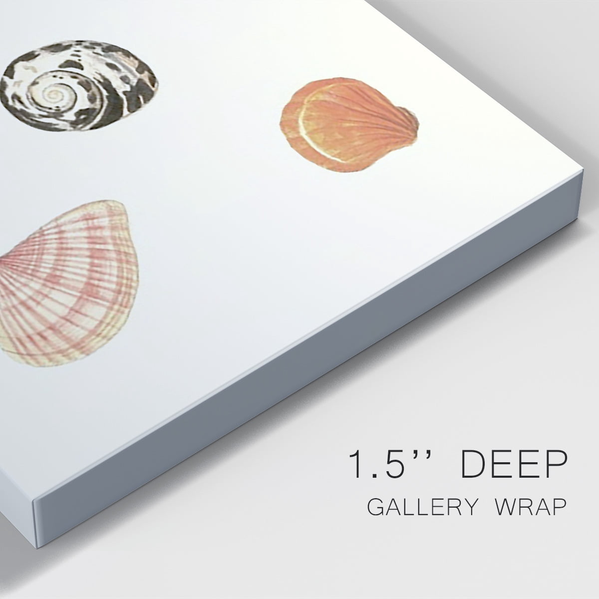 Pastel Knorr Shells VIII Premium Gallery Wrapped Canvas - Ready to Hang