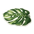 thumbnail image 1 of Alfombra de baño, alfombra de baño, alfombra de barro de diatomeas, alfombra de suelo de barro de diatomeas, felpudo interior para entrada, baño, , Monstera deliciosa, 1 of 8