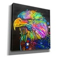thumbnail image 2 of Epic Graffiti 'Bald Eagle' by Dean Russo, Canvas Wall Art, 37"x37", 2 of 8