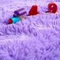 thumbnail image 3 of Homore Super Soft Area Rugs Fluffy Carpets for Bedroom Living Room 2' x 3' , Purple, 3 of 7