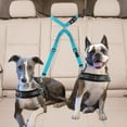 thumbnail image 4 of Double Dog Seat Belt â Adjustable Pet Car Headrest Traction Rope with Reflective Stitching, Non- Bungee for Dogs (Nylon, Vet-Approved), 4 of 6