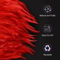 thumbnail image 2 of Fleco de Plumas de Gallo Uxcell, 5 Yardas 3-5" Fleco de Plumas Natural y Esponjoso para Manualidades [Rojo], 2 of 7