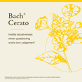thumbnail image 3 of Bach Original Flower Remedies, Cerato - 20 mL Dropper, 3 of 6