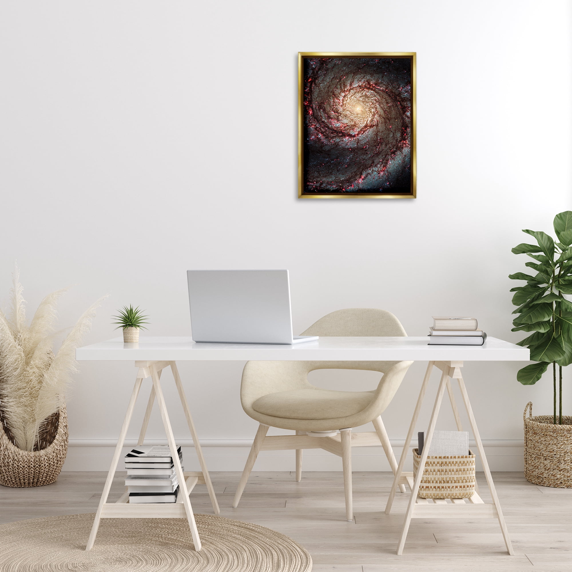 Stupell Industries Great Beyond Nebula Animals & Insects Photography Gold Floater Framed Art Print Wall Art, 17 x 21