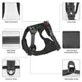 thumbnail image 3 of Naloa Cool Tiger Pet Harness Vest with Traction Rope, Adjustable No-Choke Dog Vest for Outdoor, Walking - Medium, 3 of 4