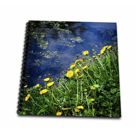 3dRose Yellow dandelion flowers, green grass by the blue water - Mini Notepad, 4 by (Best Way To Kill Dandelions In Grass)