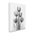 thumbnail image 3 of Stupell Industries Abstract Flower Silhouette Monochrome Tulips Design Photography Gallery-Wrapped Canvas Print Wall Art, 16x20, by Albert Koetsier, 3 of 5