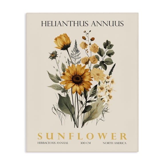 Stupell Industries Natural Sunflower Bundle Canvas Wall Art, design by Christopher Giampietro