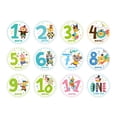 thumbnail image 2 of 12 Uds. mensuales para bebés, para del recién nacido, etiquetas adhesivas para álbumes de recortes, de perfecl Tarjetas de registro mensuales, 2 of 4