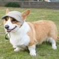 thumbnail image 5 of Gorra de béisbol para perros Symphonyw, gris, con visera ajustable, talla M, 5 of 5