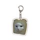 thumbnail image 1 of Ruifaya Llavero creativo con forma de animal, divertido y lindo colgante de bolsa con dibujos animados, OFERTA CALIENTE 2024, 1 of 7