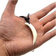 thumbnail image 3 of Men's real tooth pendant necklace boar tusk tribal amulet necklace for women, 3 of 5