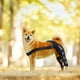 thumbnail image 3 of Dog Knee Brace with Reflective Seat Belts, 3 of 5