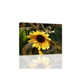 thumbnail image 1 of Sunflower CANVAS or PRINT WALL ART, 1 of 1