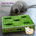 thumbnail image 5 of Catstages Grass Patch Hunting and Play Box Ball Cat Toy, 5 of 7