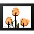 thumbnail image 2 of Koetsier, Albert 18x15 Black Modern Framed Museum Art Print Titled - Tulips Orange, 2 of 5