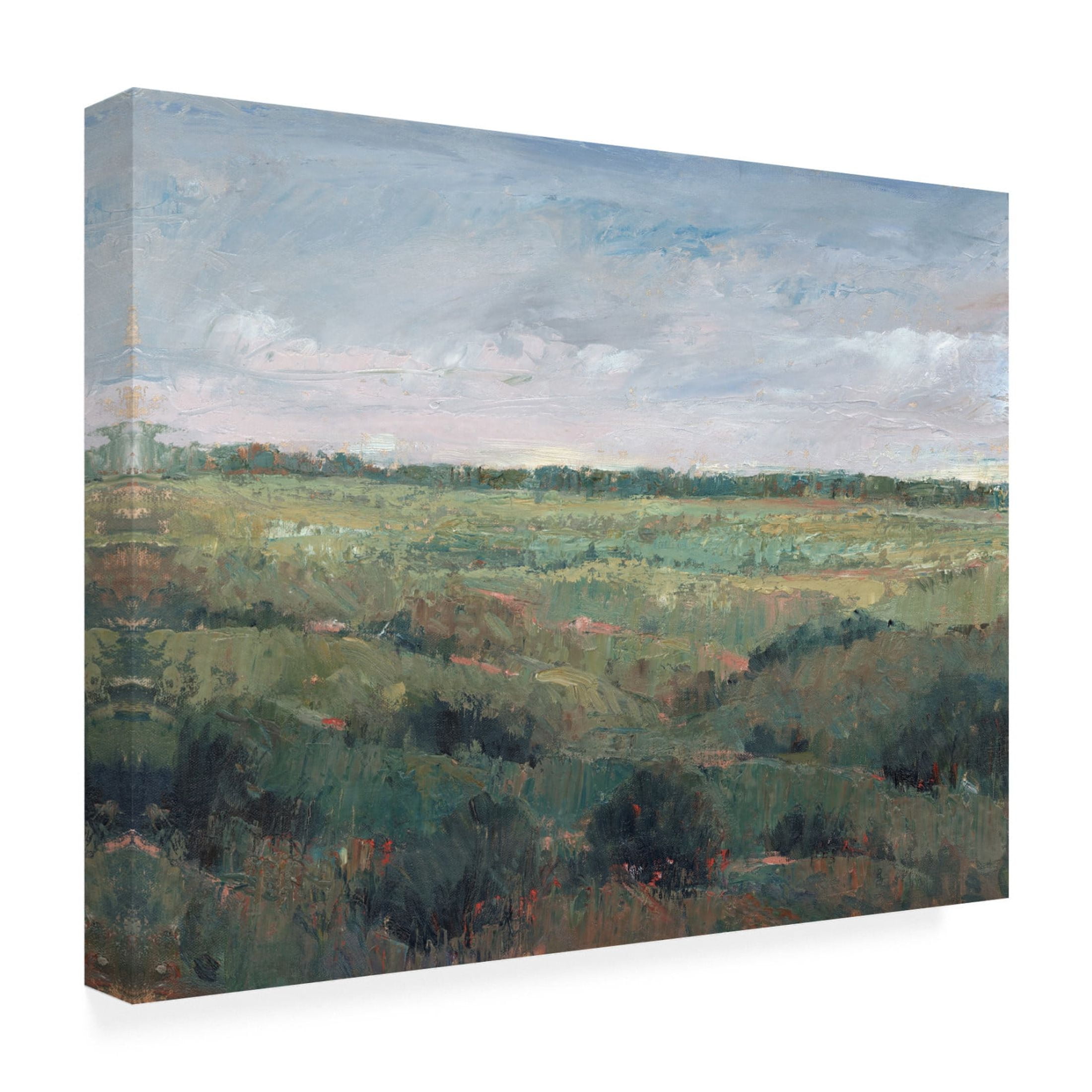 Canvas Wall Art - Tim OToole 'Field Study II' Wall Art for Living Room, Bedroom, or Office Décor by Trademark Fine Art - 47 x 35 Inches